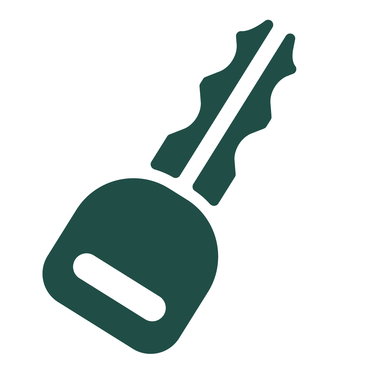 Magnifier Icon