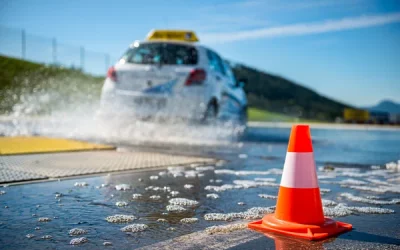 Driver Licence Checking Service UK