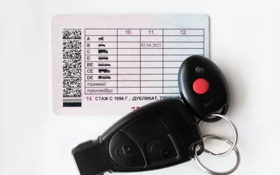 Check My Driving Licence