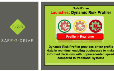 Dynamic Risk Profiler